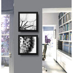 Set 2 Cuadros Flor Diente De Leon Taraxacum B/n 33x33cm Marco Negro