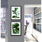 Set 2 Cuadros Hojas Plantas Verdes Decoracion Con Paspartu
