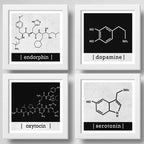 Set 4 Cuadros Formula Quimica Dopamina Endorfina Serotonina