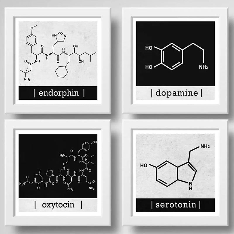 Set 4 Cuadros Formula Quimica Dopamina Endorfina Serotonina