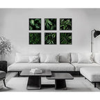 Set 6 Cuadros Hojas Plantas Verdes Decoracion Botanico 33x33 Marco Negro