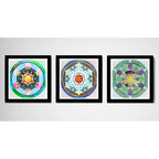Set 3 Cuadros Mandalas Geometrico Boho Zen Brs1 Decoracion