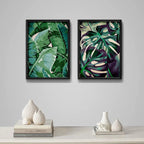 Set 2 Cuadros Hojas Plantas Monstera Botanico Decoracion