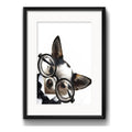Cuadro Chihuahua Perro Gafas Optica Decoracion Con Paspartú Marco Negro