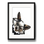 Cuadro Chihuahua Perro Gafas Optica Decoracion Con Paspartú Marco Negro