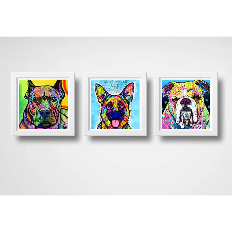 Set 3 Cuadros Perro Pop Art Colorido Mascota Pet Decoracion
