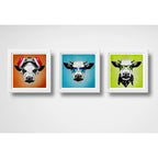 Set 3 Cuadros Vaca Hipster Pop Art Gafas Animales Decoracion