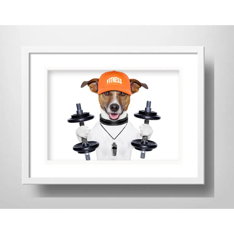 Cuadro Perro Fitness Gym Jack Terrier Mascota Con Paspartú