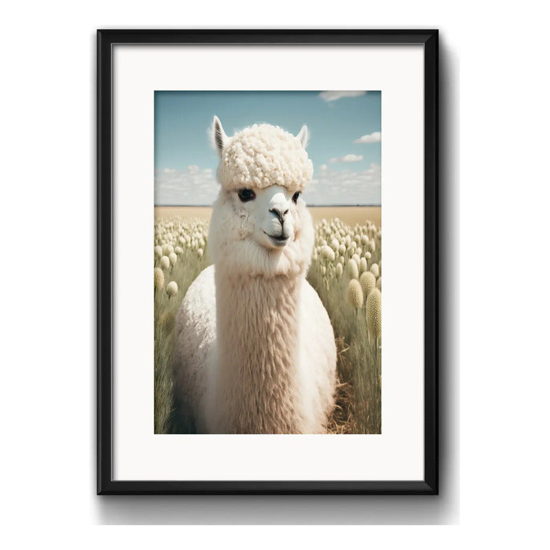 Cuadro Alpaca Camelidae Animal Campo Decoracion Con Paspartú Marco Negro