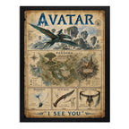 Cuadro Avatar Pelicula Mapa Pandora Cinema Arte Marco Negro