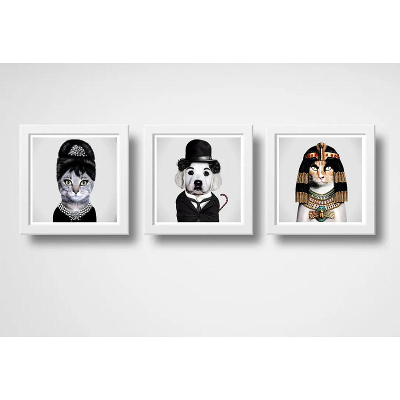 Set 3 Cuadros Perro Chaplin Gatas Audrey Hepburn Y Cleopatra