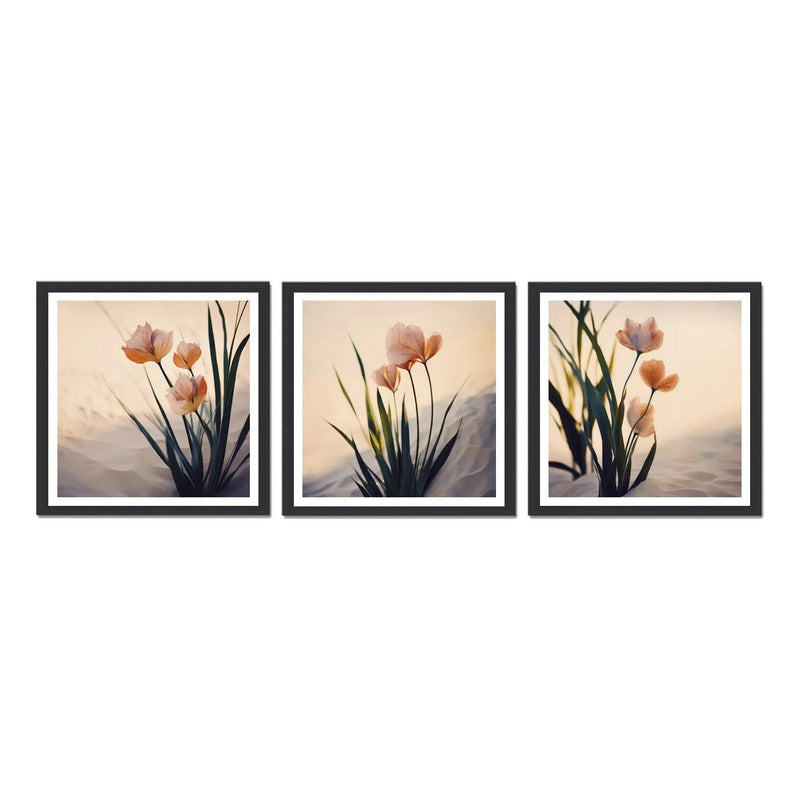 Set 3 Cuadros Flores De Dunas Playa Dune Flowers Botanico Marco Negro