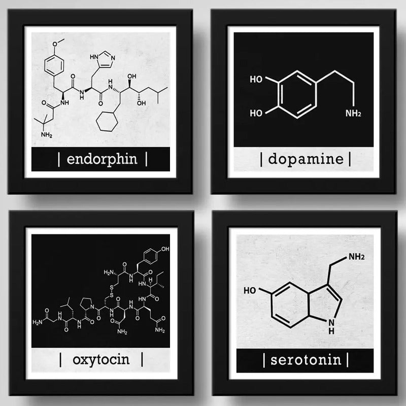 Set 4 Cuadros Formula Quimica Dopamina Endorfina Serotonina