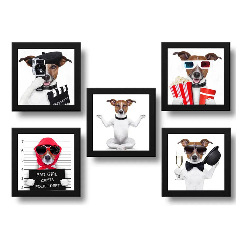 Set 5 Cuadros Perro Lifestyle Cinema Spa Mascota Pet Decora