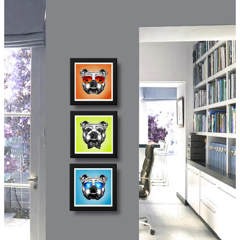Set 3 Cuadros Perro Bulldog Pop Art Mascota Pet Decoracion