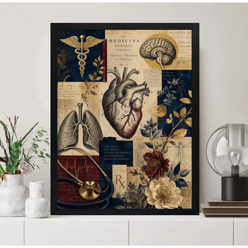Cuadro Médico Anatomia Cuerpo Humano Elementos Botánicos Marco Negro
