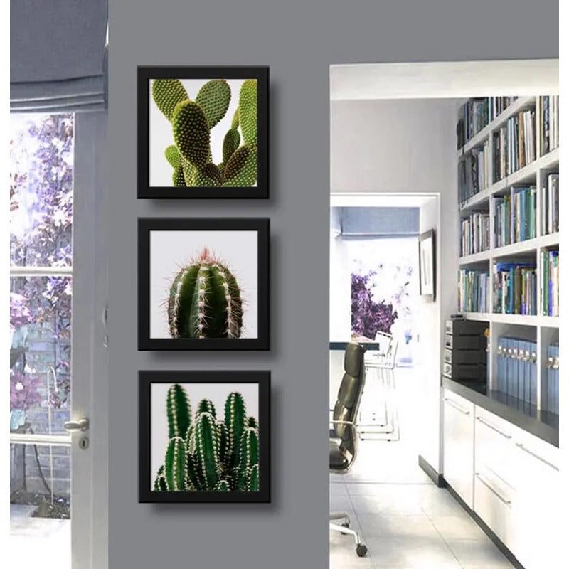 Set 3 Cuadros Cactus Suculentas Plantas Botanico - 33x33cm Marco Negro