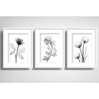 Set 3 Cuadros Flores Hojas Minimalista Blanco Negro Paspartú