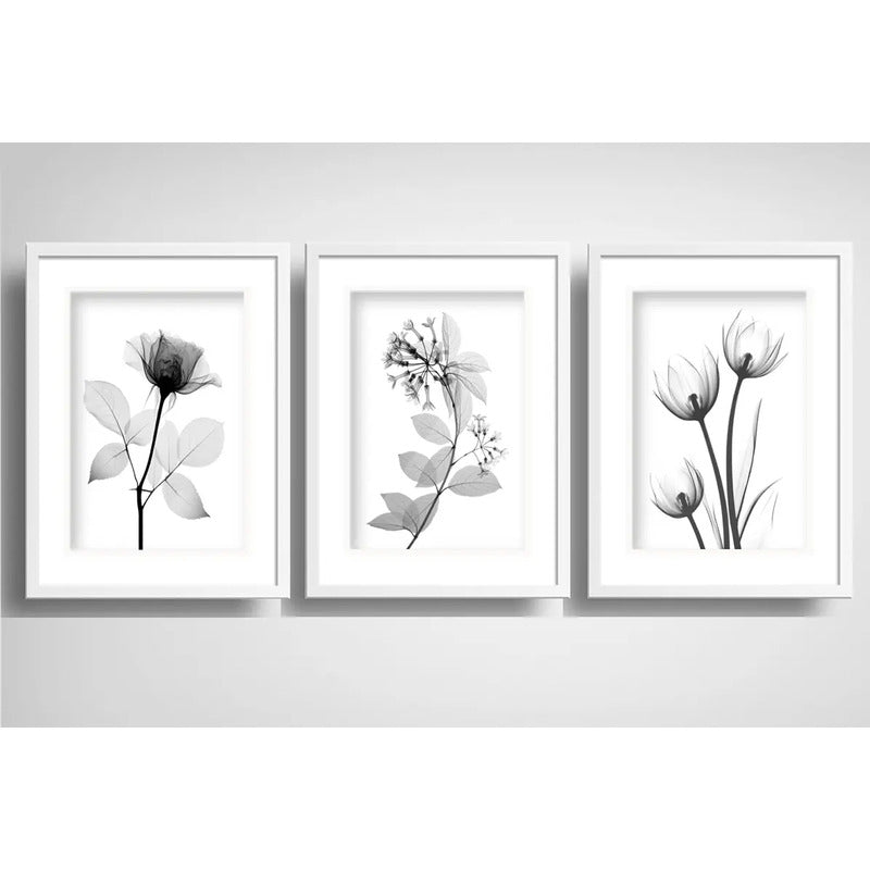 Set 3 Cuadros Flores Hojas Minimalista Blanco Negro Paspartú