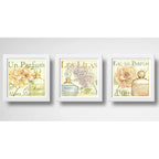 Set 3 Cuadros Flores Paris Perfume Baño Arte Decoracion