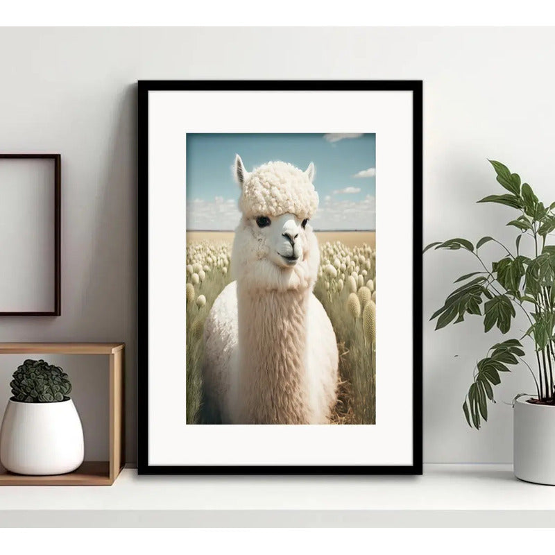 Cuadro Alpaca Camelidae Animal Campo Decoracion Con Paspartú Marco Negro