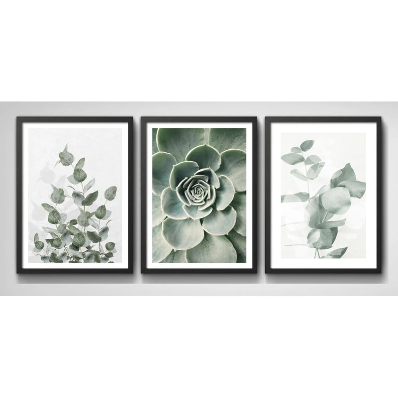 Set 3 Cuadros Naturaleza Verde Hojas Plantas Botanica Marco Negro