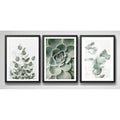 Set 3 Cuadros Naturaleza Verde Hojas Plantas Botanica Marco Negro
