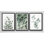 Set 3 Cuadros Naturaleza Verde Hojas Plantas Botanica Marco Negro