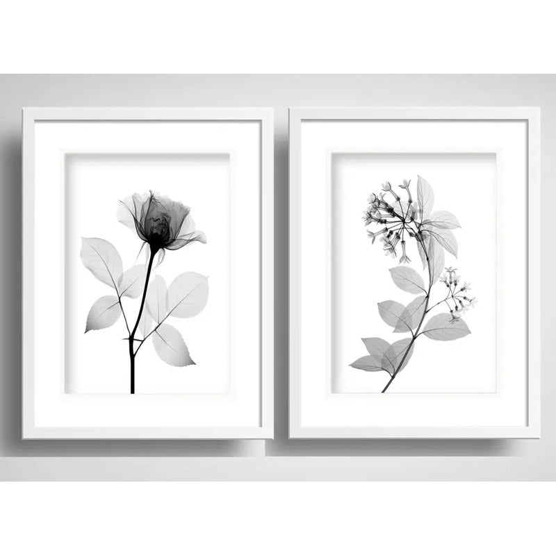 Set 2 Cuadros Flores Minimalista Blanco Y Negro Con Paspartu