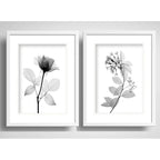 Set 2 Cuadros Flores Minimalista Blanco Y Negro Con Paspartu