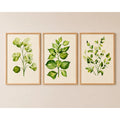 Set 3 Cuadros Dormitorio Living Hojas Verdes Plantas Suaves Marco Marrón Claro