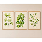 Set 3 Cuadros Dormitorio Living Hojas Verdes Plantas Suaves Marco Marrón Claro