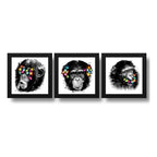 Set 3 Cuadros Monos Mariposas Pop Art Color Chimpancé Decor
