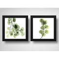 Set 2 Cuadros Hojas Minimalista Eucalipto Planta - 33x33cm Marco Negro