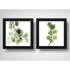 Set 2 Cuadros Hojas Minimalista Eucalipto Planta - 33x33cm Marco Negro