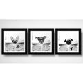 Set 3 Cuadros Perro Baño Decoracion Mascotas Pet Veterinaria