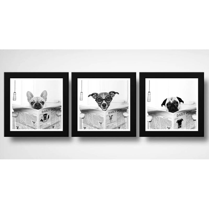 Set 3 Cuadros Perro Baño Decoracion Mascotas Pet Veterinaria