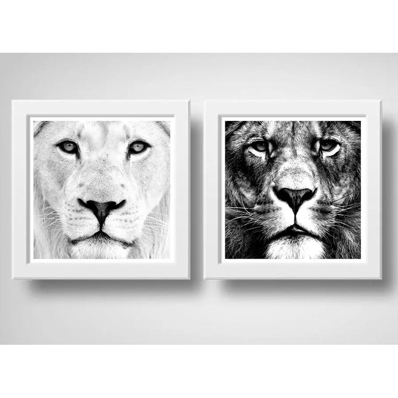 Set 2 Cuadros Leon Blanco Leones Sabiduría Animal Decoracion