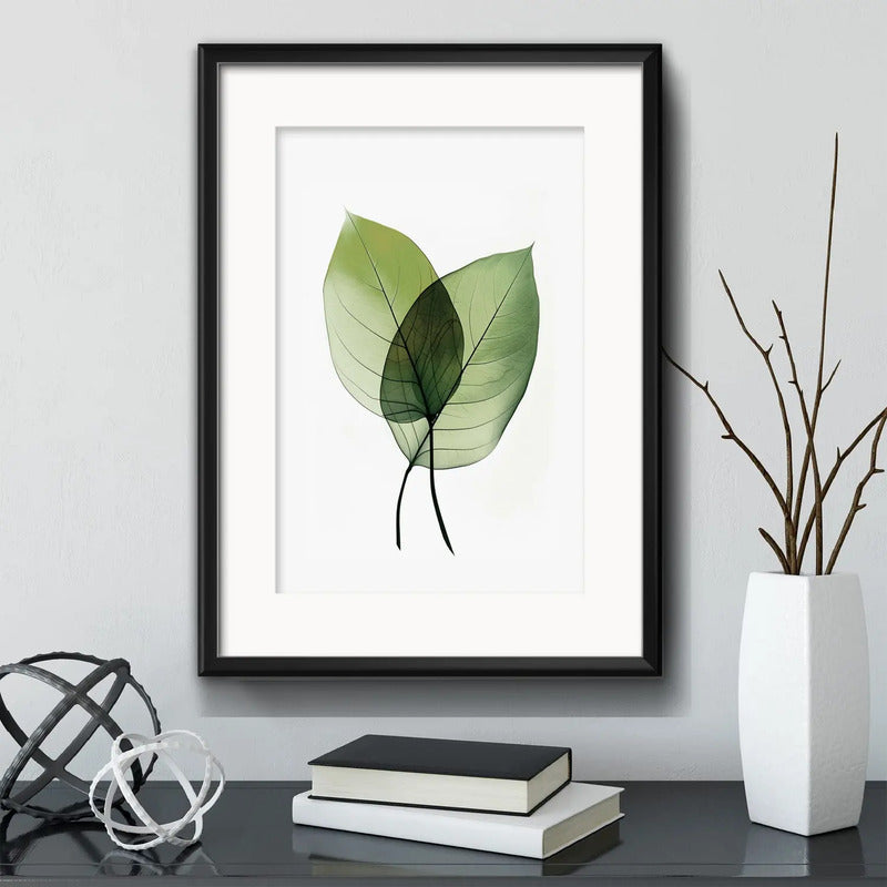 Cuadro Flores Hojas Plantas Botanica Decoracion Con Paspartú Hojas Verdes 1 Con Marco Negro