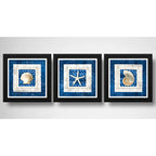 Set 3 Cuadros Conchas Estrella Mar Playa Decoración Nautico