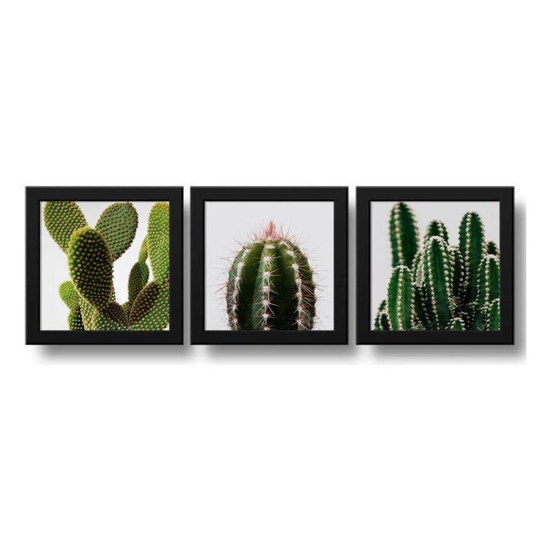 Set 3 Cuadros Cactus Suculentas Plantas Botanico - 33x33cm Marco Negro