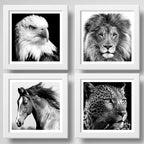 Set 4 Cuadros León Águila Caballo Leopardo En Blanco Y Negro