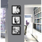 Set 3 Cuadros Marilyn Monroe Audrey Hepburn Brigitte Bardot