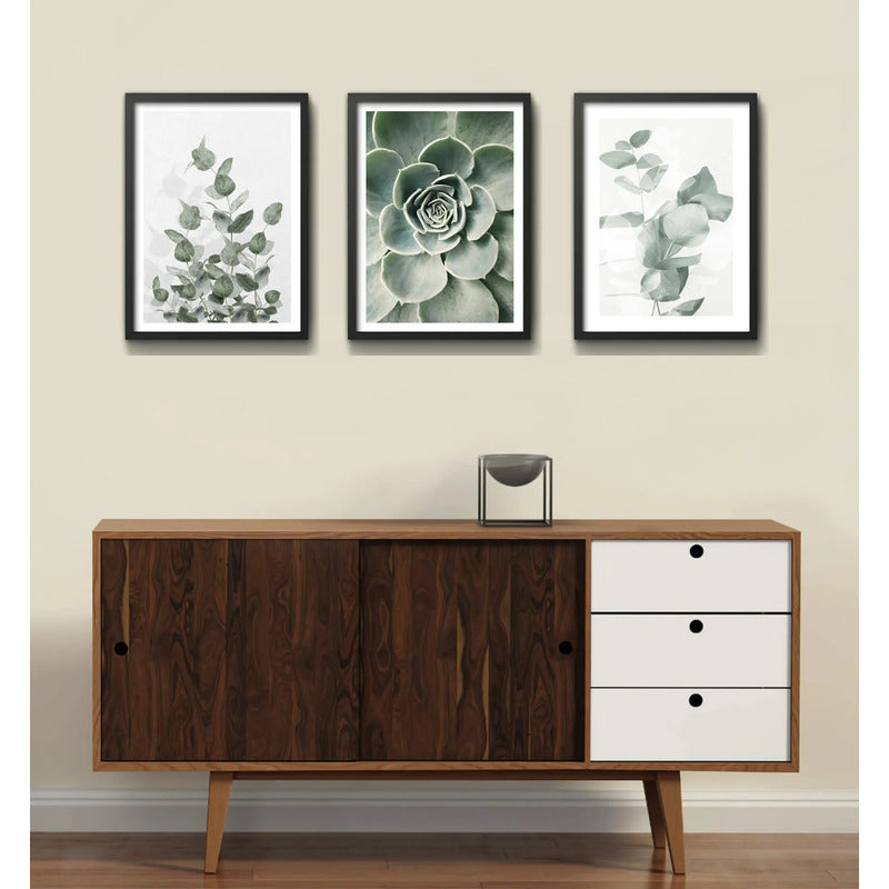 Set 3 Cuadros Naturaleza Verde Hojas Plantas Botanica Marco Negro