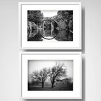 Set 2 Cuadros Paisajes Blanco Y Negro Arboles Deco Paspartu