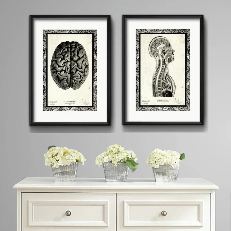 Set 2 Cuadros Anatomia Médico Cuerpo Humano Con Paspartu