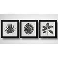 Set 3 Cuadros Hojas Minimalista Blanco Y Negro Arte Botanico
