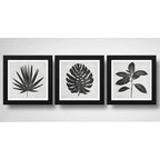 Set 3 Cuadros Hojas Minimalista Blanco Y Negro Arte Botanico