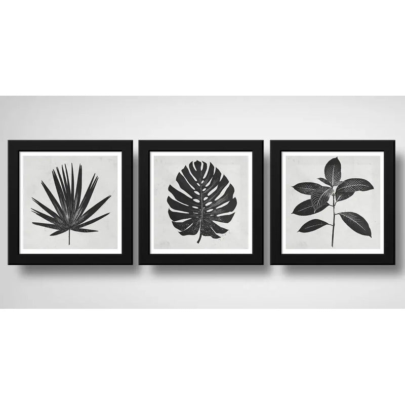 Set 3 Cuadros Hojas Minimalista Blanco Y Negro Arte Botanico