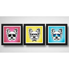 Set 3 Cuadros Perro Yorkshire Pop Art Mascota Pet Decoracion